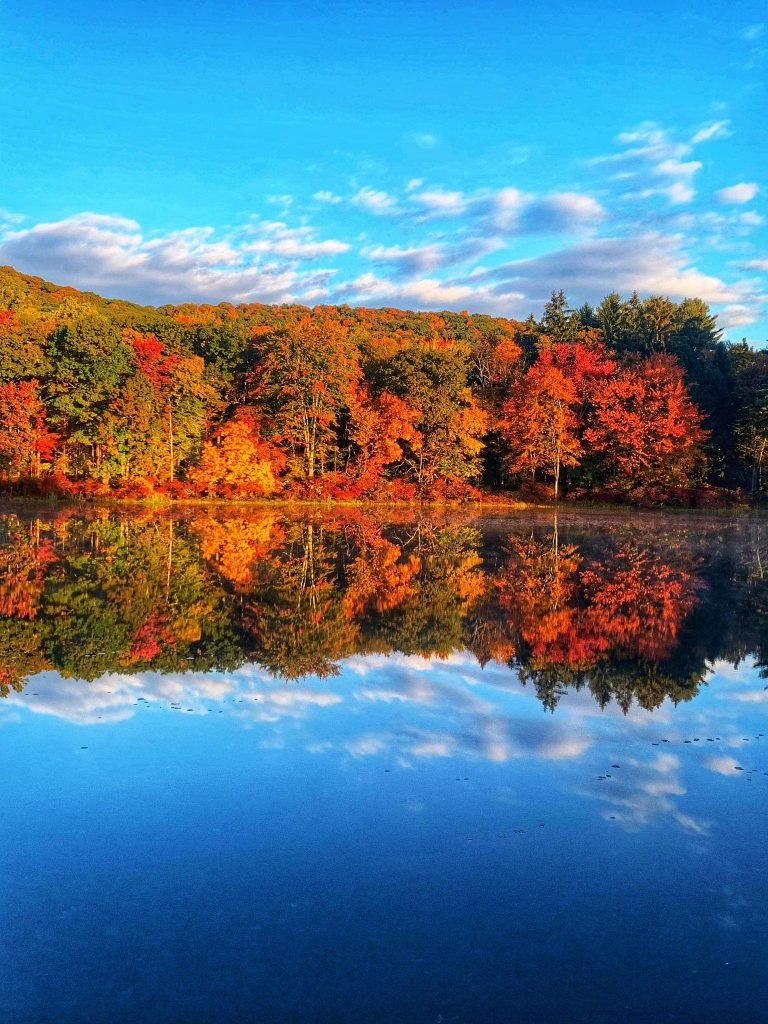 Autumn foliage reflected in a still lake on the Big Bear SquaTCh South trail course