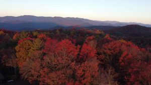 North Georgia mountain ridges in peak autumn colour, seen from above