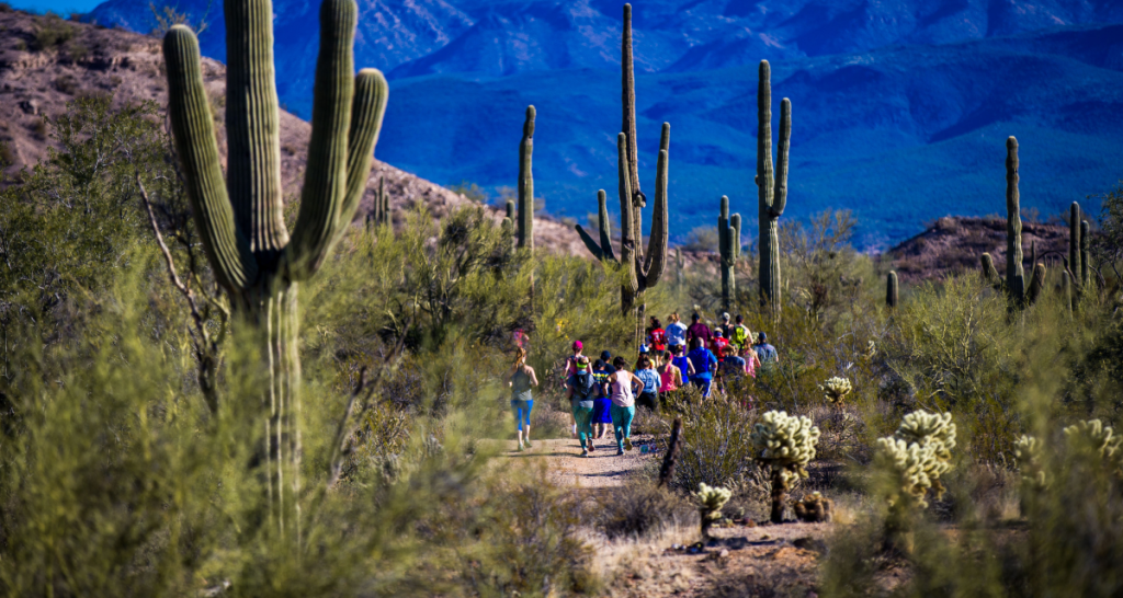 Runners on a saguaro-lined desert trail at Ragnar Trail Arizona