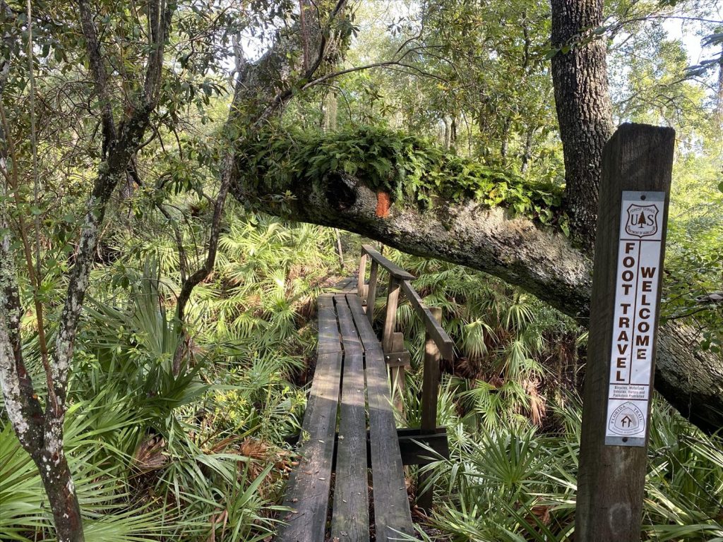Boardwalk trail through moss-draped Florida hammock forest with a course sign